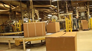 Packed cartons on a roller conveyor in the packing area at a SUR Engenharia reference installation