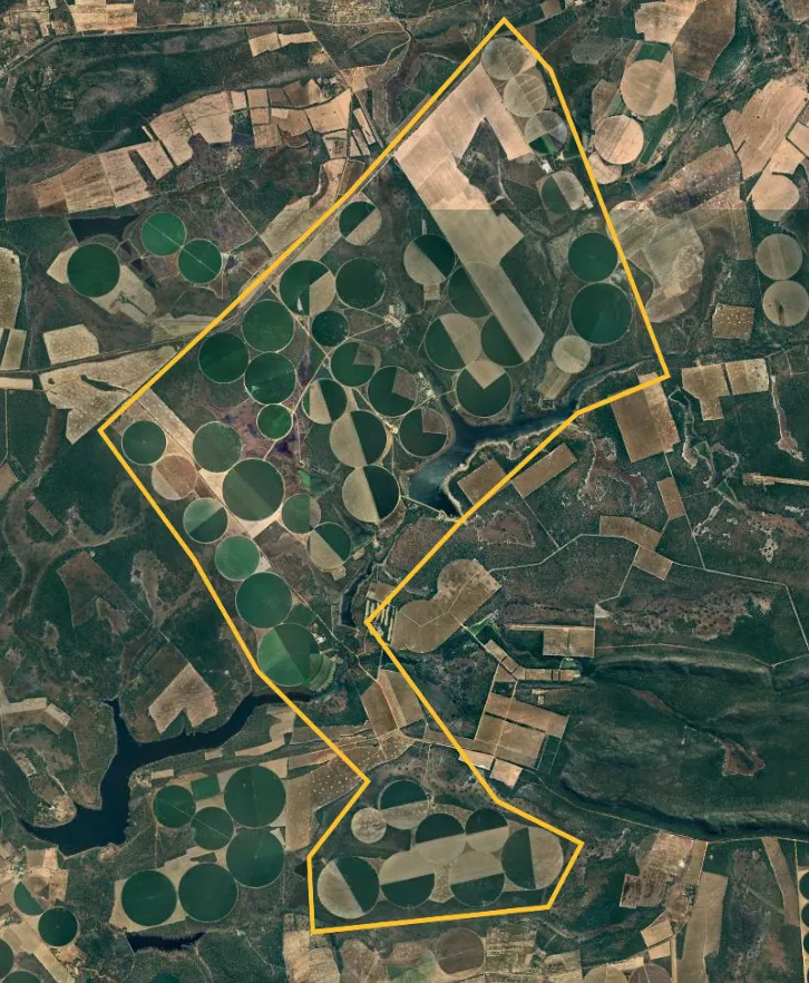 Satellite view of the Mkushi estate with its boundary marked: centre-pivot circles and dams across the farm